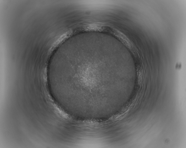 X0000091090729200708131319