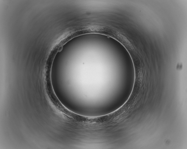 X0000091090730200708131319