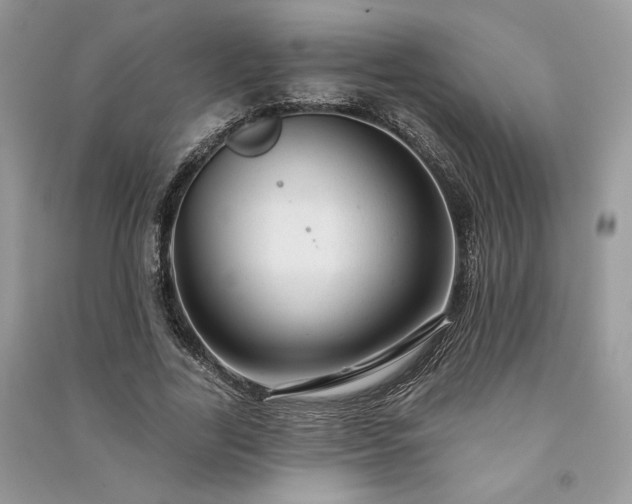 X0000091090731200708131319
