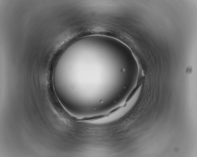 X0000091090732200708131319