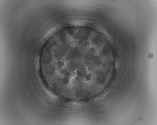 X0000091090733200708131319