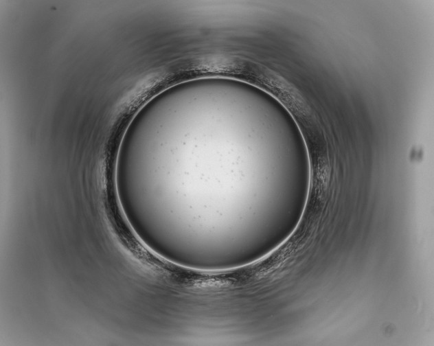 X0000091090734200708131319