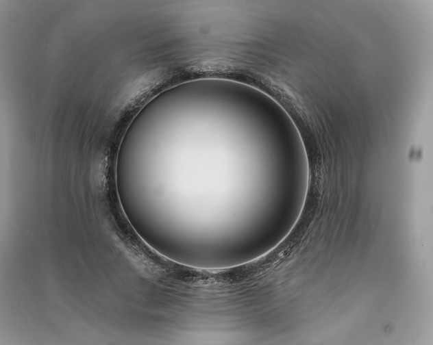 X0000091090735200708131319