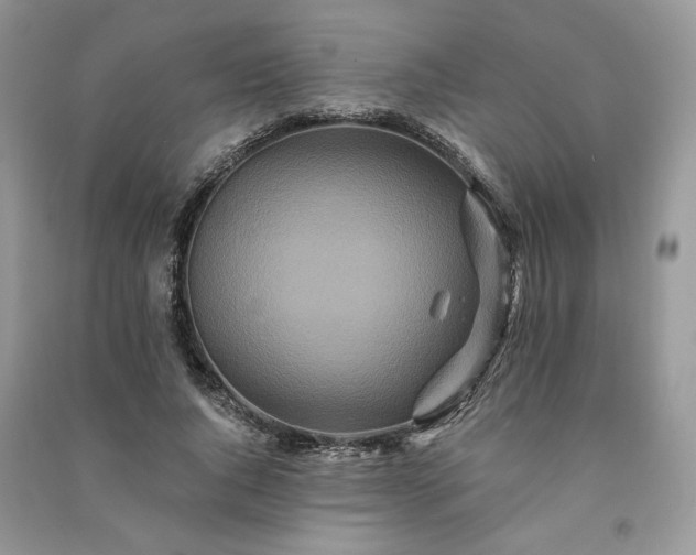 X0000091090736200708131319