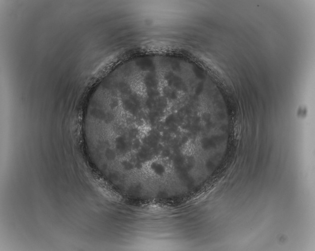 X0000091090737200708131319