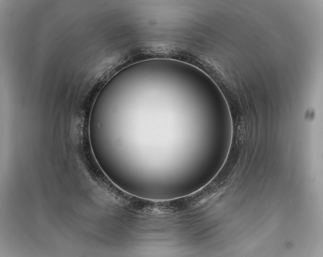 X0000091090739200708131319