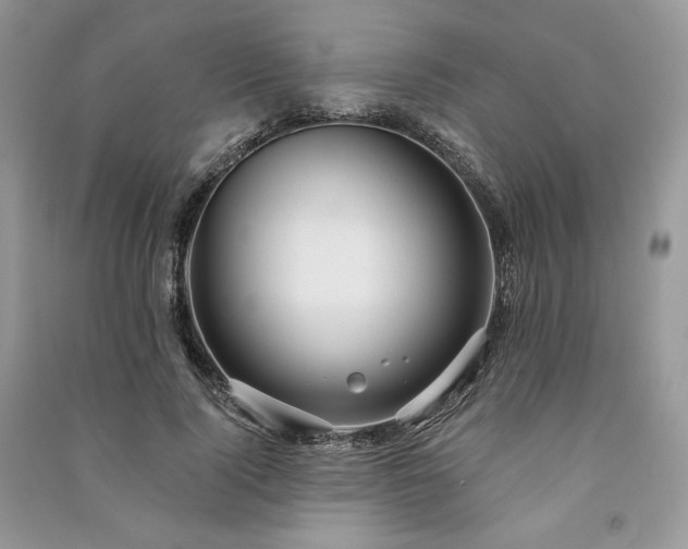 X0000091090740200708131319