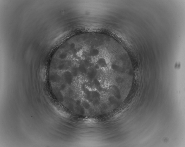 X0000091090741200708131319