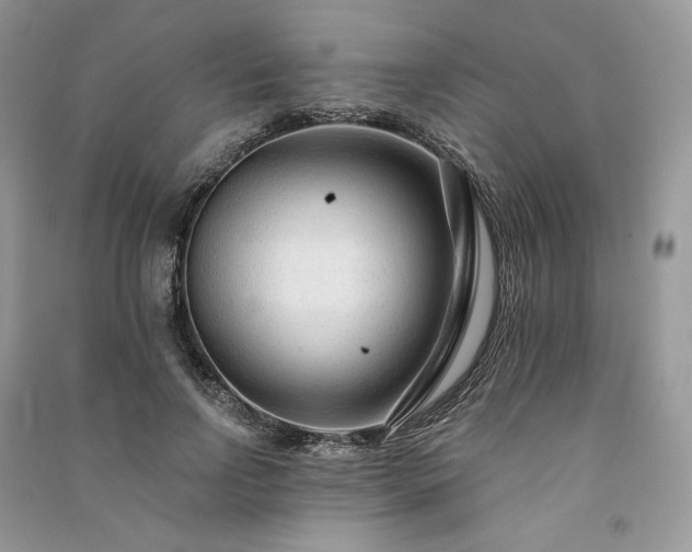 X0000091090742200708131319