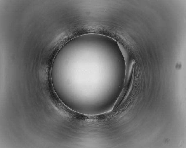 X0000091090744200708131319