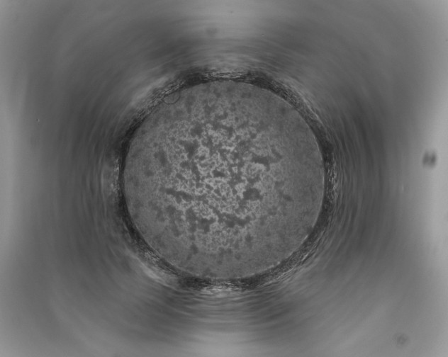 X0000091090745200708131319