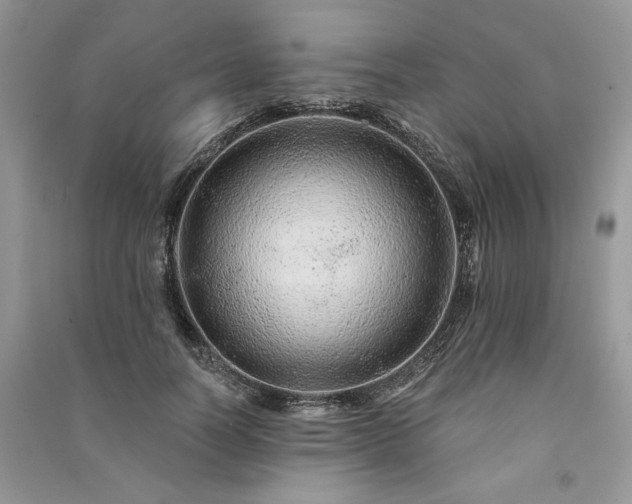 X0000091090746200708131319