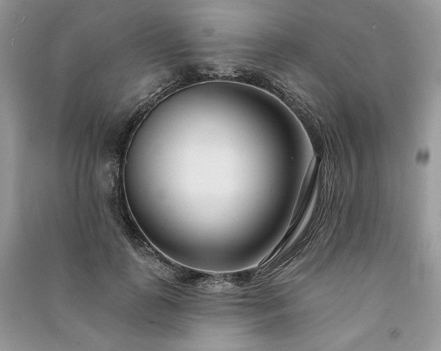 X0000091090747200708131319