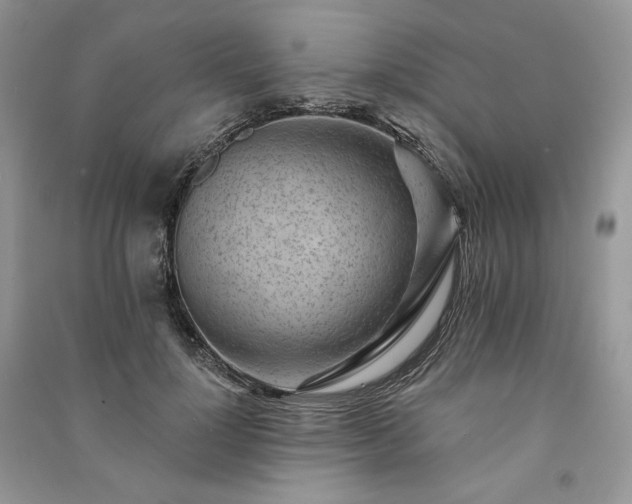 X0000091090748200708131319