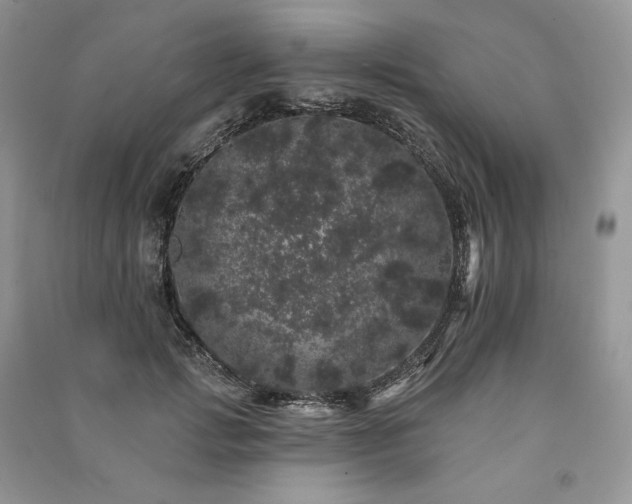 X0000091090749200708131319