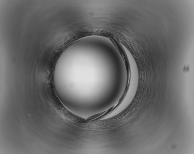 X0000091090750200708131319