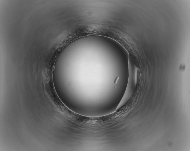X0000091090751200708131319