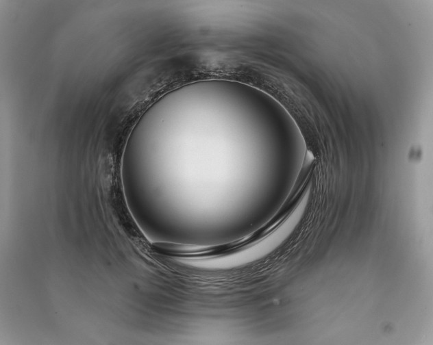 X0000091090752200708131319