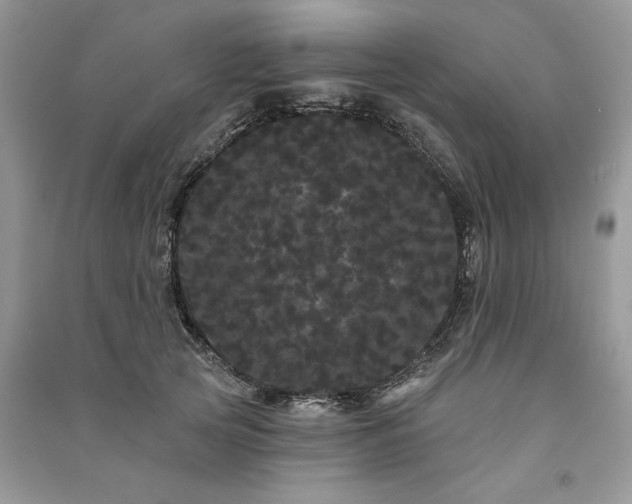 X0000091090753200708131319