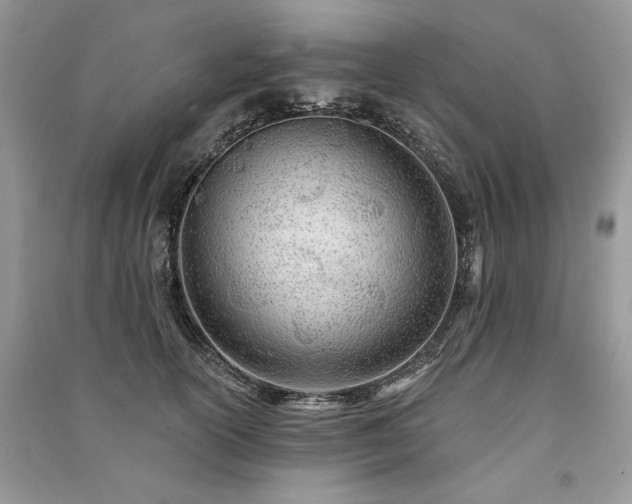 X0000091090754200708131319