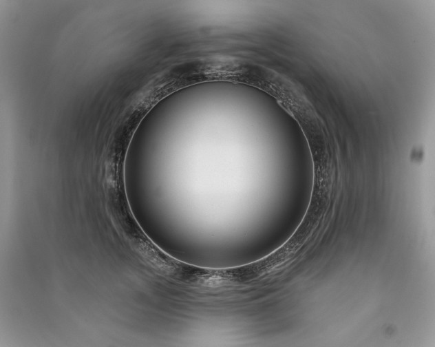 X0000091090755200708131319