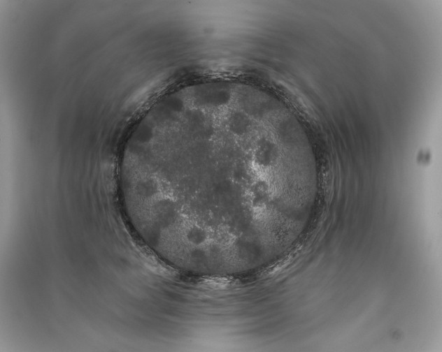 X0000091090757200708131319