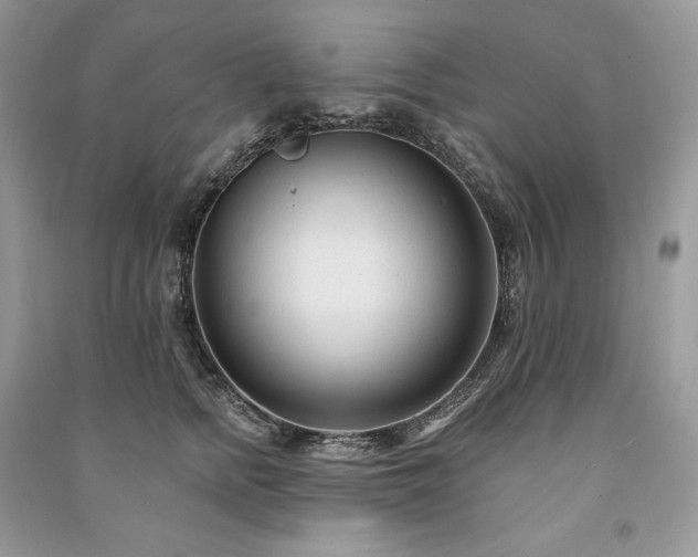 X0000091090758200708131319