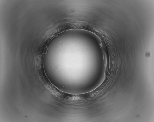X0000091090759200708131319
