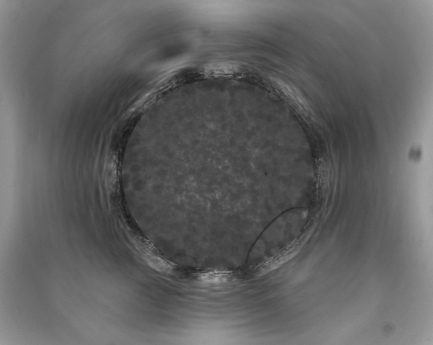 X0000091090761200708131319