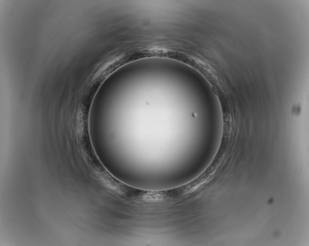 X0000091090762200708131319
