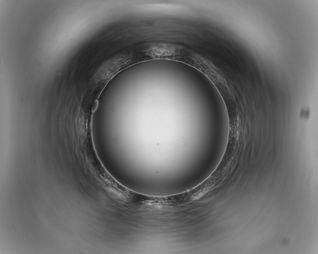 X0000091090763200708131319