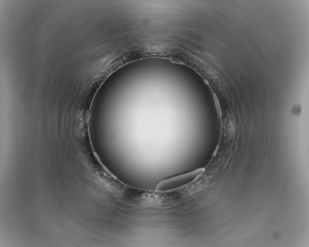 X0000091090764200708131319