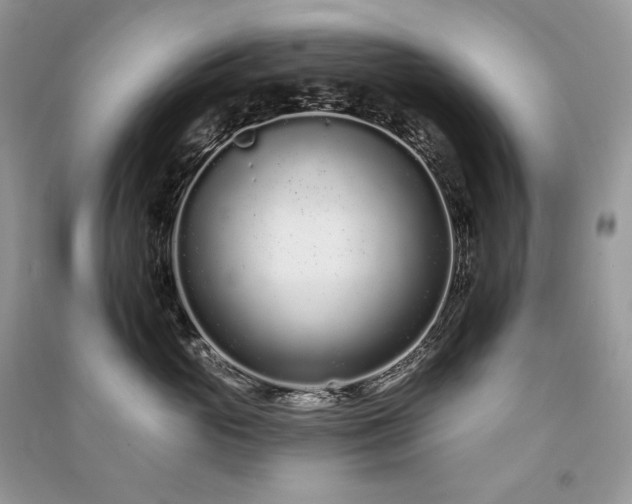 X0000091090765200708131319