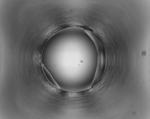 X0000091090766200708131319