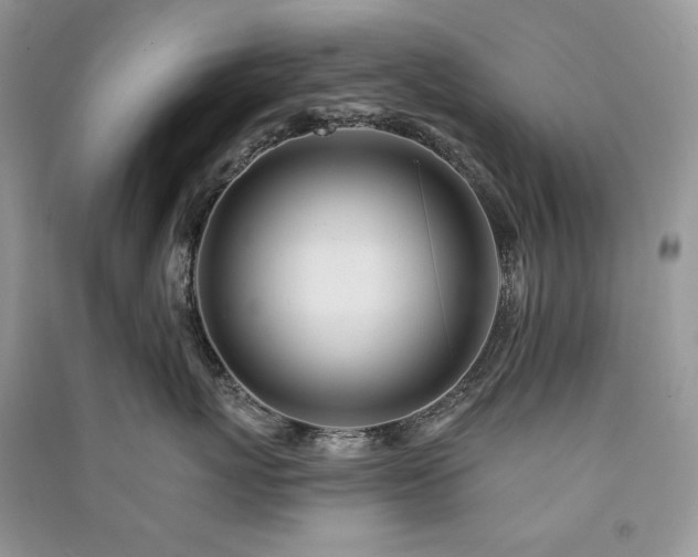 X0000091090767200708131319