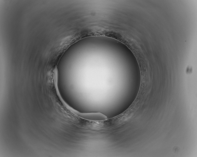 X0000091090768200708131319