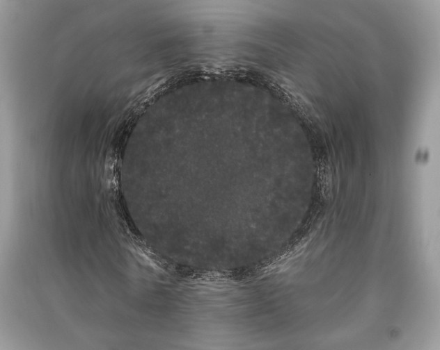 X0000091090770200708131319
