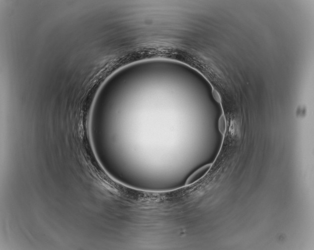 X0000091090771200708131319