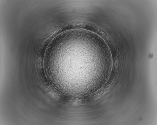 X0000091090772200708131319