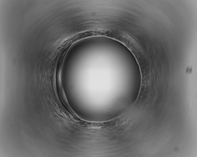 X0000091090773200708131319