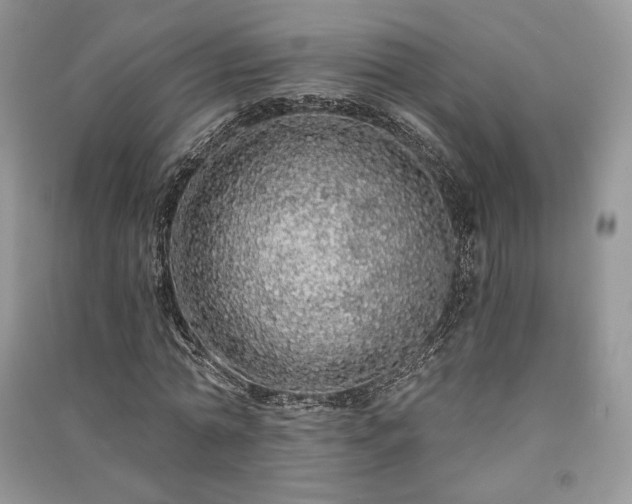 X0000091090774200708131319