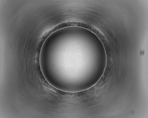 X0000091090775200708131319