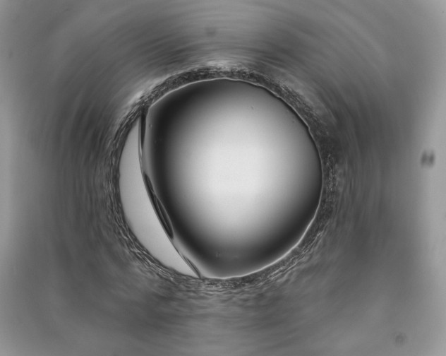 X0000091090776200708131319