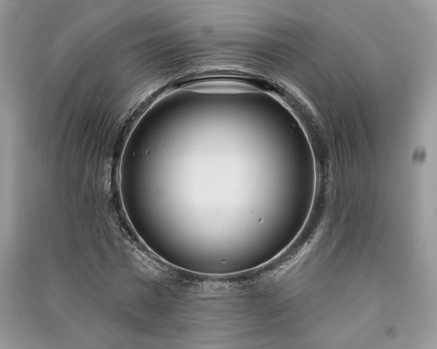 X0000091090777200708131319