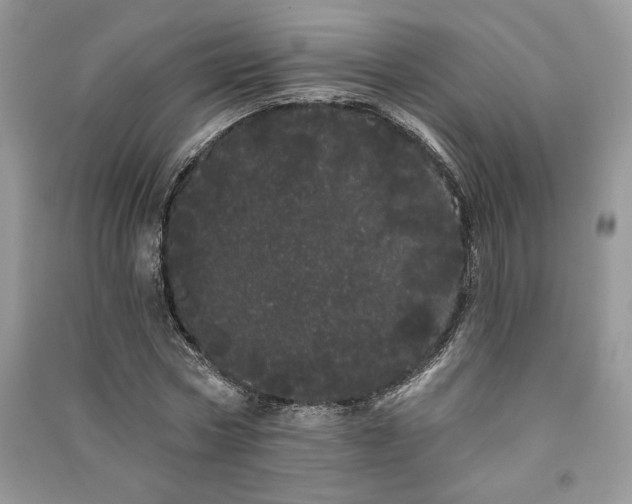 X0000091090778200708131319