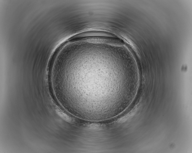 X0000091090779200708131318
