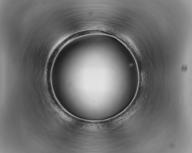 X0000091090780200708131318