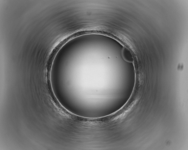 X0000091090781200708131318