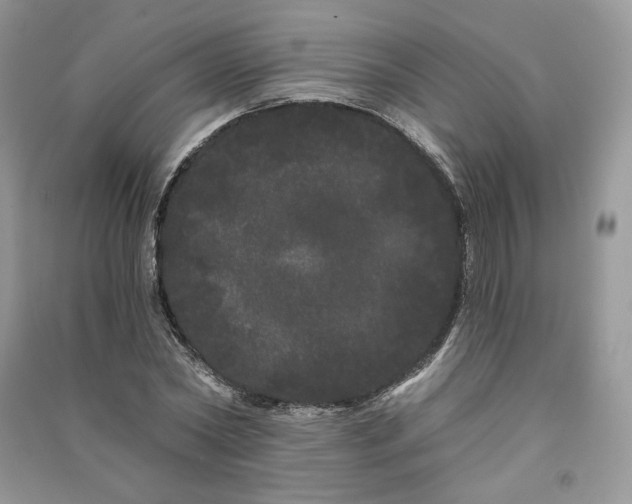 X0000091090782200708131318