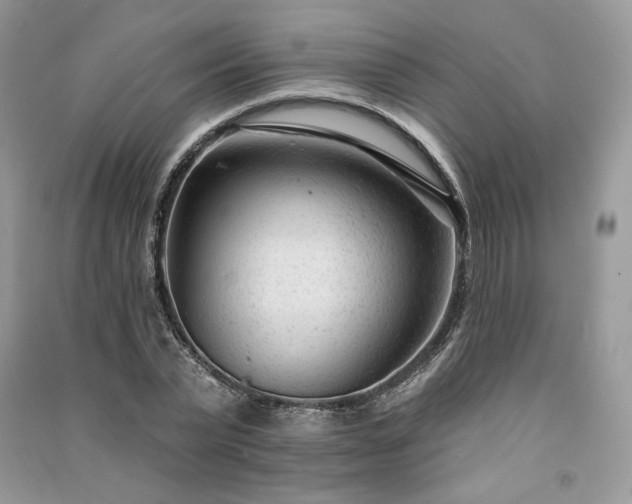 X0000091090783200708131318
